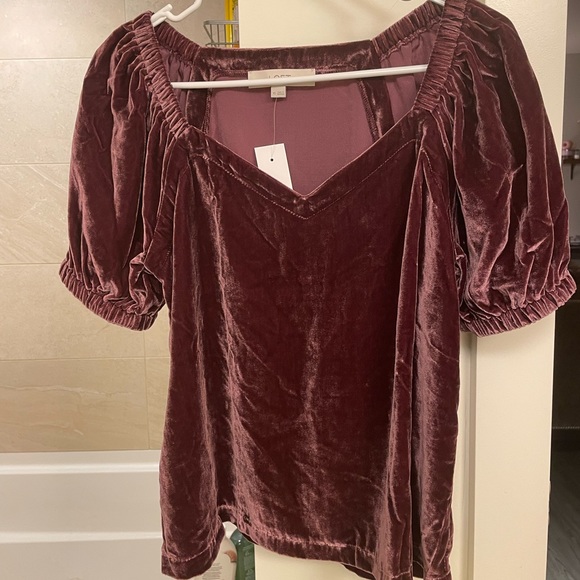 LOFT Velvet Top - Rose - Picture 2 of 3